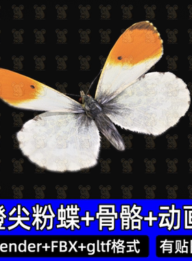 Blender蝴蝶橙尖粉蝶带骨骼绑定动画3d模型fbx 3dmax c4d maya