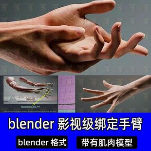 Blender影视级别绑定手臂套装包含肌肉模型有控制器