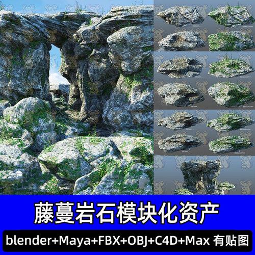 3dmax maya C4D Blender影视覆盖藤蔓岩石石头石块资产游戏3d模型