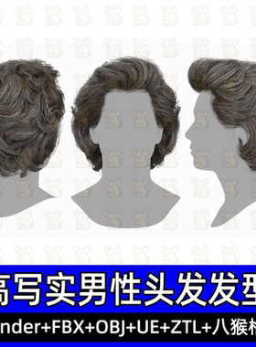 3DScanStore写实毛发男性插片发卡发型蓬松短发3D模型blender fbx