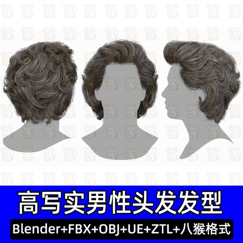 3DScanStore写实毛发男性插片发卡发型蓬松短发3D模型blender fbx