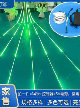 14声控led灯带酒吧KTV动感单车全彩流水编程12V背景幻彩跑马灯条