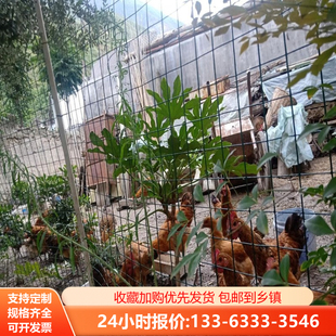 防锈铁丝网围栏养鸡养殖网菜园圈地果园网格防护网农用隔离荷兰网