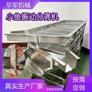 商用全自动小鱼振动分筛机不锈钢直线振动筛小鱼分选机分级机厂家