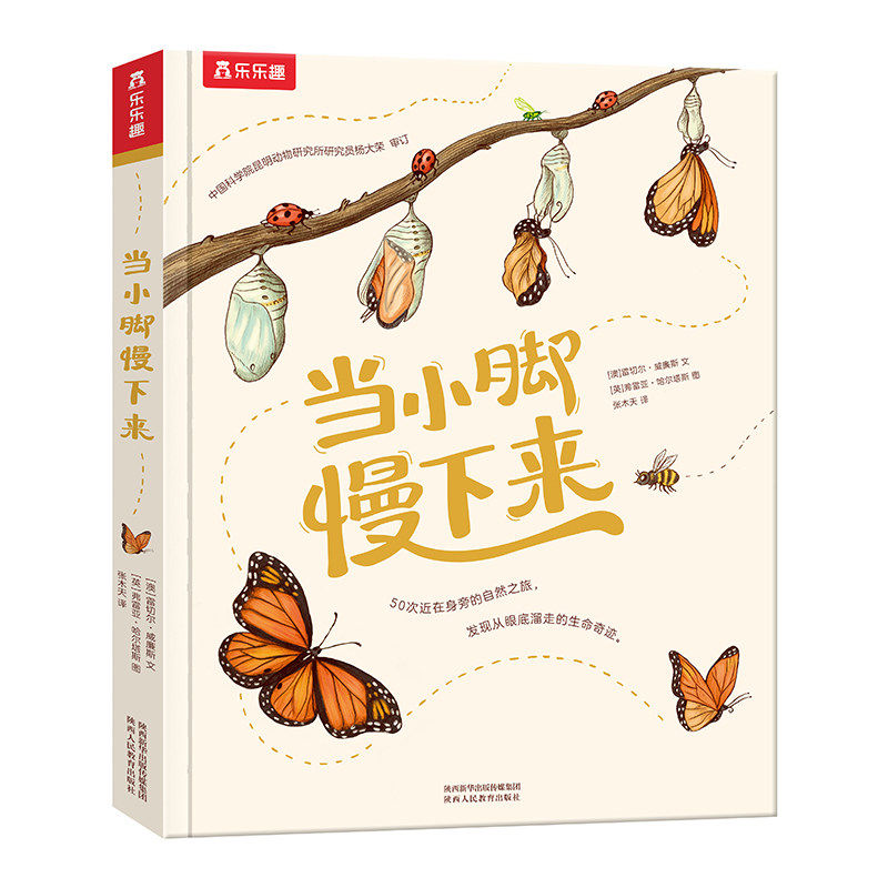 乐趣当小脚慢下来绘本儿