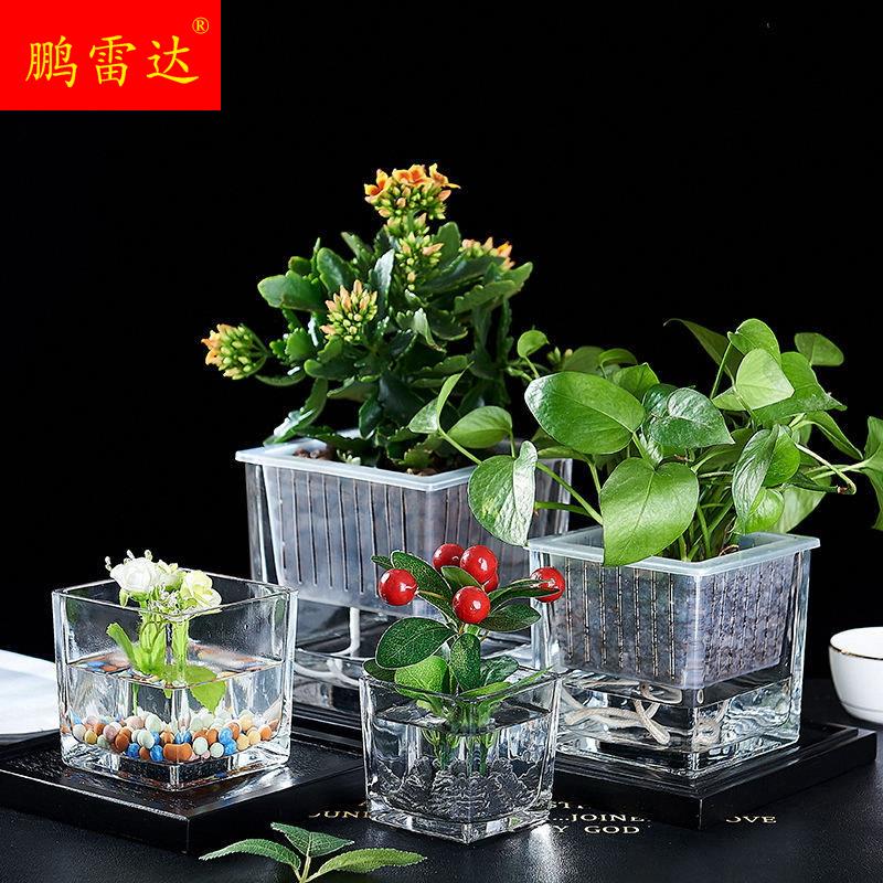 固根器水培篮 方形定植篮  玻璃方缸水培植物花瓶透明花盆定植杯