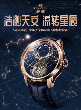 海鸥表斗转星移中华天文历法陀飞轮机械表商务休闲男士腕表8843G