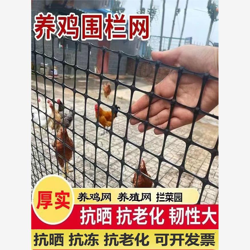 塑料养殖围栏玉米网家用