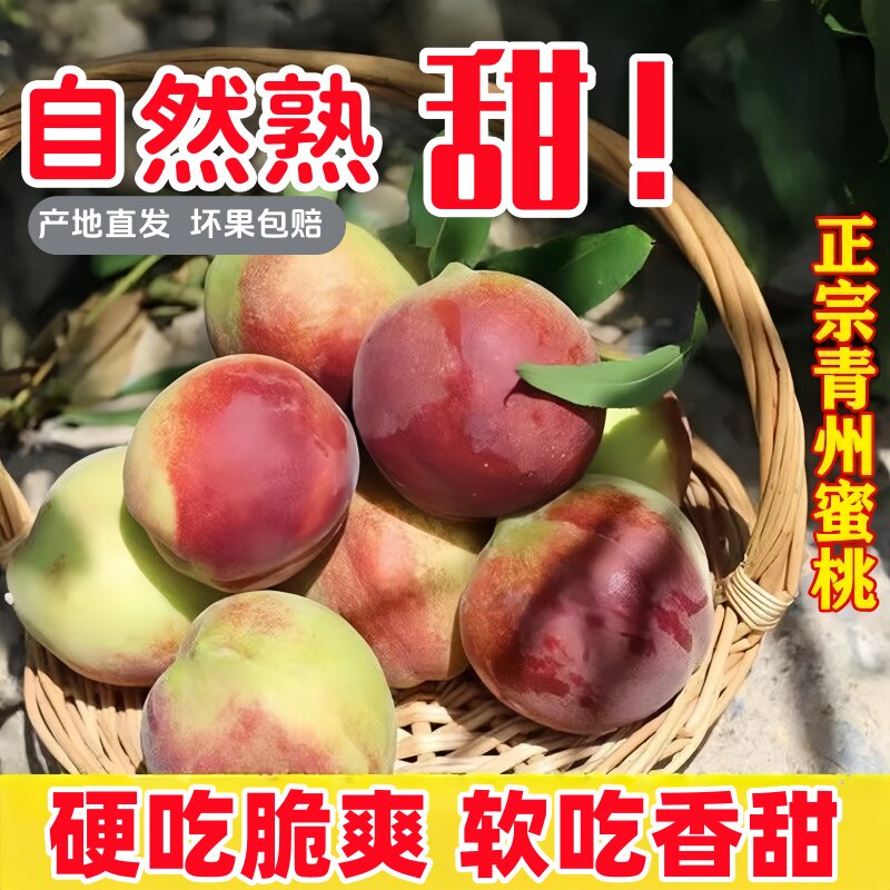 青州蜜桃脆甜桃子新鲜冬雪蜜桃水果青毛桃蜜桃山东冬桃中秋礼物