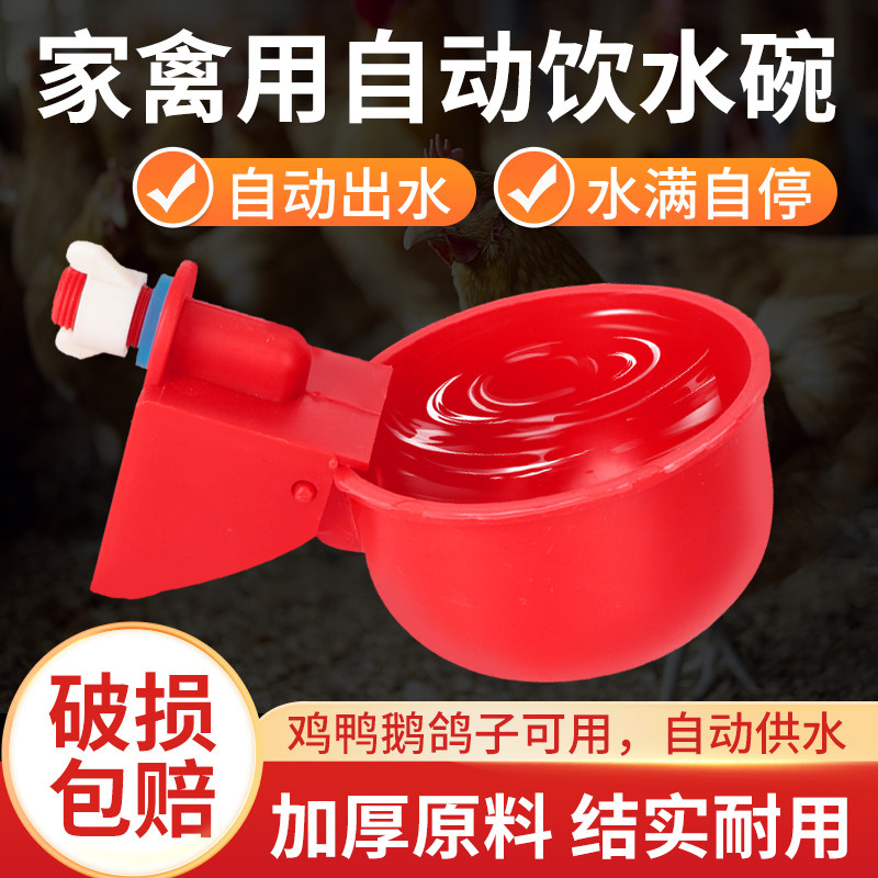 速发鸡用饮水碗家芦自动饮水器鹅鸭鸽子喝水碗鹌鹑喂器水禽丁鸡饮