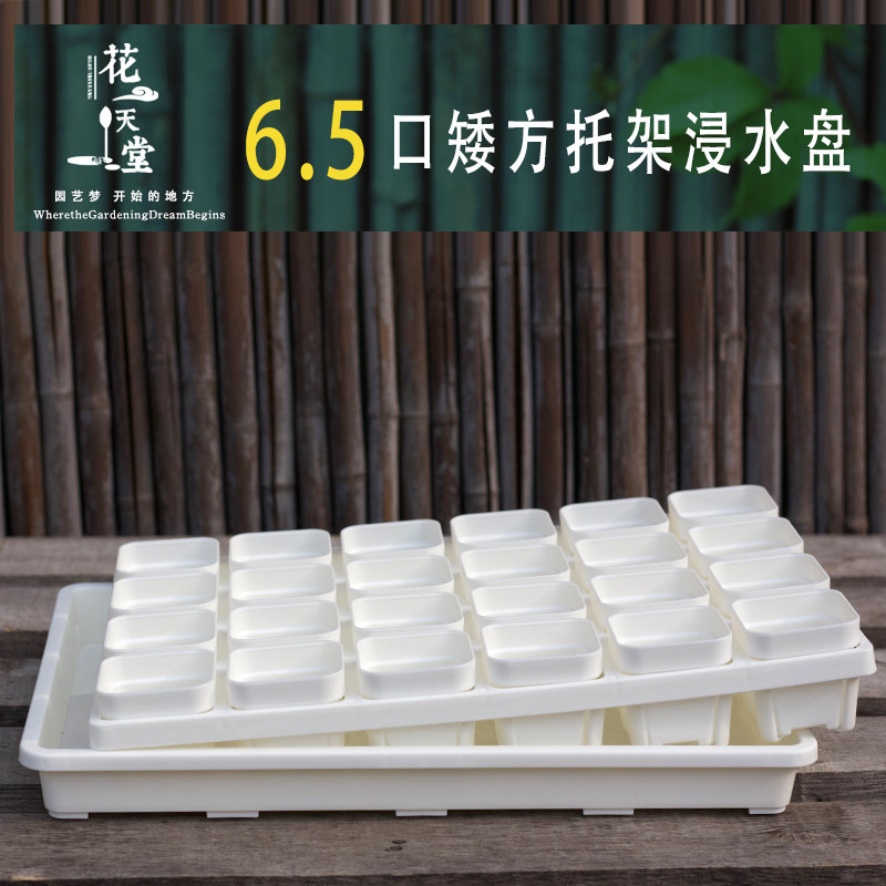 速发加厚浸肉花盆塑扦托架多水托盘组合育苗播种料插种植操作整理