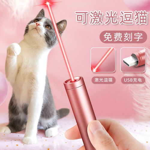 速发处手满充电大功率逗猫远射强光售楼部沙盘远射笔售楼笔指示笔