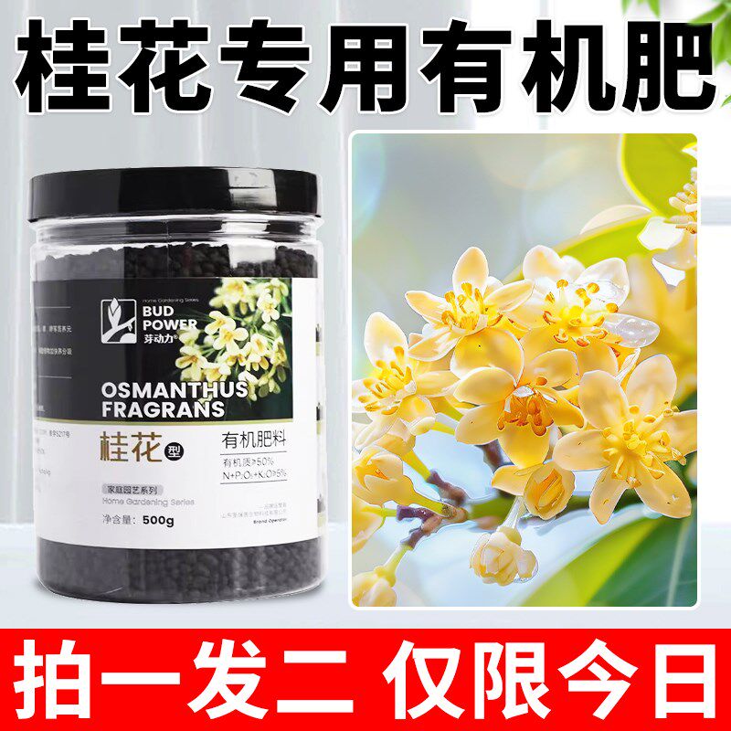 速发催花树四用营养液酸性植物花卉桂花促花防叶片尖焦黄专季开花