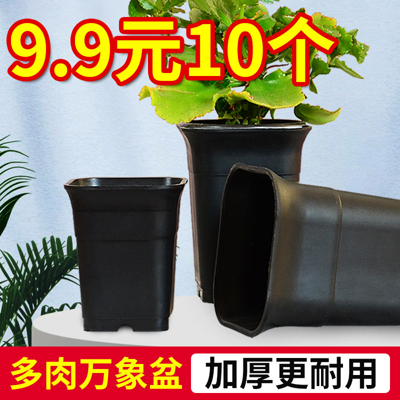 速发加厚黑肉花盆大料多肉塑黑方花盆花卉绿植盆栽创意花盆托架小
