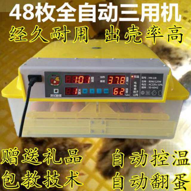 现货速发孵化机全自动小型小鸡土鸡笨鸡蛋苗家用孵化器孵化箱孵蛋