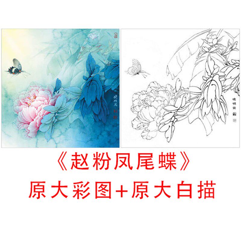 现货速发工笔牡丹小品白描底稿李晓明-赵粉凤尾蝶-线描实物打印稿