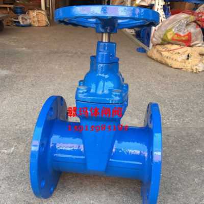 现货速发新品暗杆软密封闸阀弹性座封闸阀 法兰自来水闸阀Z45XRVH