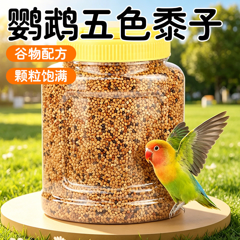牡丹虎皮玄凤粮食五色黍子鸟粮