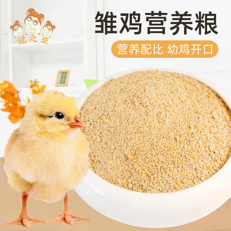 育雏专用芦丁鸡鸭子鹌鹑产蛋食物