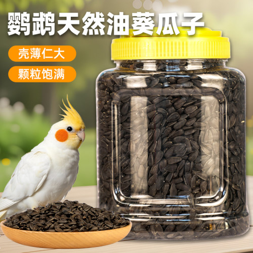 鹦鹉瓜子油葵零食饲料