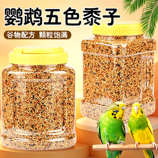 玄凤虎皮牡丹鹦鹉鸟食五色黍子混合谷物粮中小型鹦鹉专用喂养饲料
