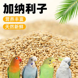 鹦鹉饲料加纳利子鸟食鸟粮新货大颗粒玄凤虎皮牡丹中小型鹦鹉饲料