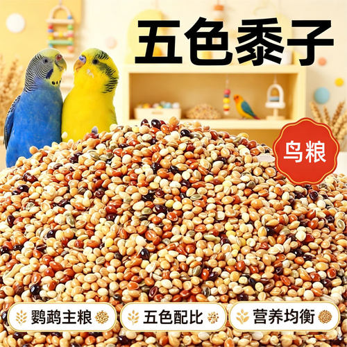 鹦鹉鸟粮饲料黍子牡丹虎皮