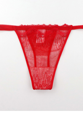 红色内裤女中低腰三角裤高弹力透明网纱蕾丝纯棉底档透气薄款丁字