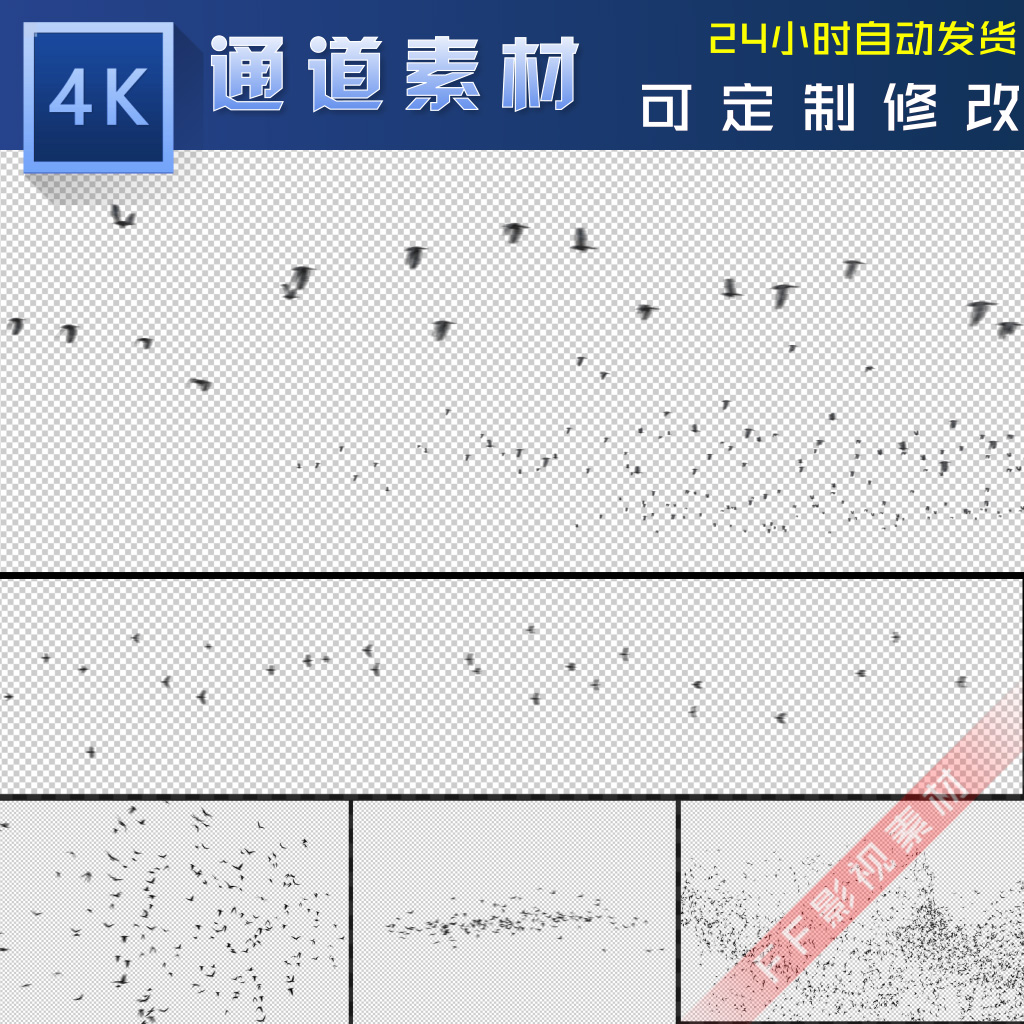 飞鸟群空中飞行动物透明通道AEPR特效合成视频素材Edius会声会影 个性定制/设计服务/DIY 设计素材源文件 原图主图