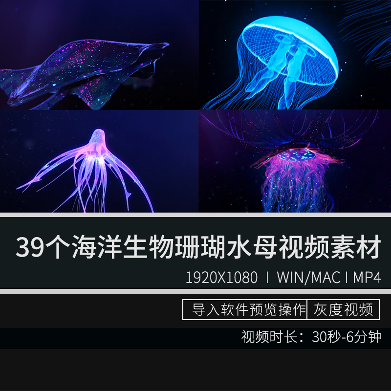 海底世界洋生物珊瑚水母唯