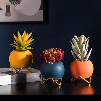 速发多肉植物小盆栽摆件办公桌面装饰风迷你假花绿植摆设