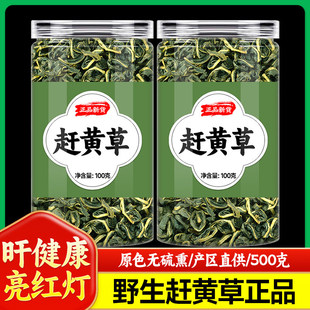 四川古蔺赶黄草正品护保茶泡水喝熬夜常备养生茶野生特级溪黄草