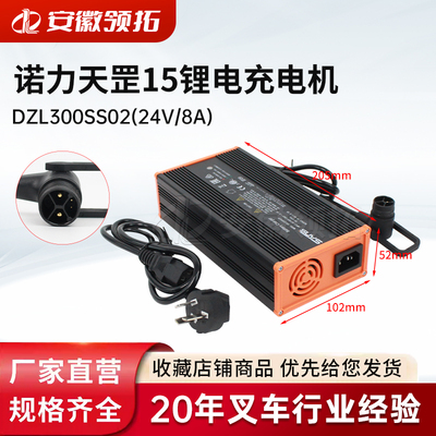 诺力天罡15锂电充电机DZL300SS02