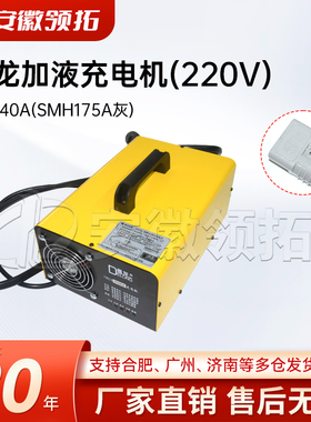 电动叉车托盘车充电器得龙加液充电机(220V)24V/40A(SMH175A灰色)