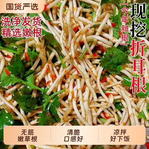 折耳根新鲜鱼腥草嫩根嫩芽节节根农家自种凉拌即食蔬菜包邮迷迭香