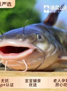渔菜公社无抗养殖清江鱼活鱼现杀冷链新鲜烤鱼火锅鲜活水产整条