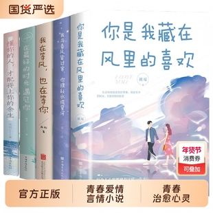 青春爱情言情小说治愈心灵你是我藏在风里的喜欢有幸被爱无畏山海懂你的人才配得上你的余生我与春风皆过客你携秋水揽星河正版时光
