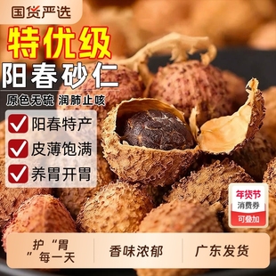 正宗阳春砂仁干特级春砂仁煲汤养胃春沙仁果野生砂仁阳春砂中药材