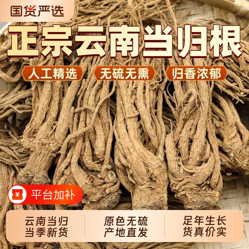 云南野生当归根正宗中药材当归无硫熏泡酒煲汤500g包邮黄芪党参