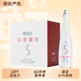 嘉桦白桦树汁原液饮品NFC原汁天然植物饮料0脂低卡0蔗糖320ML 6瓶