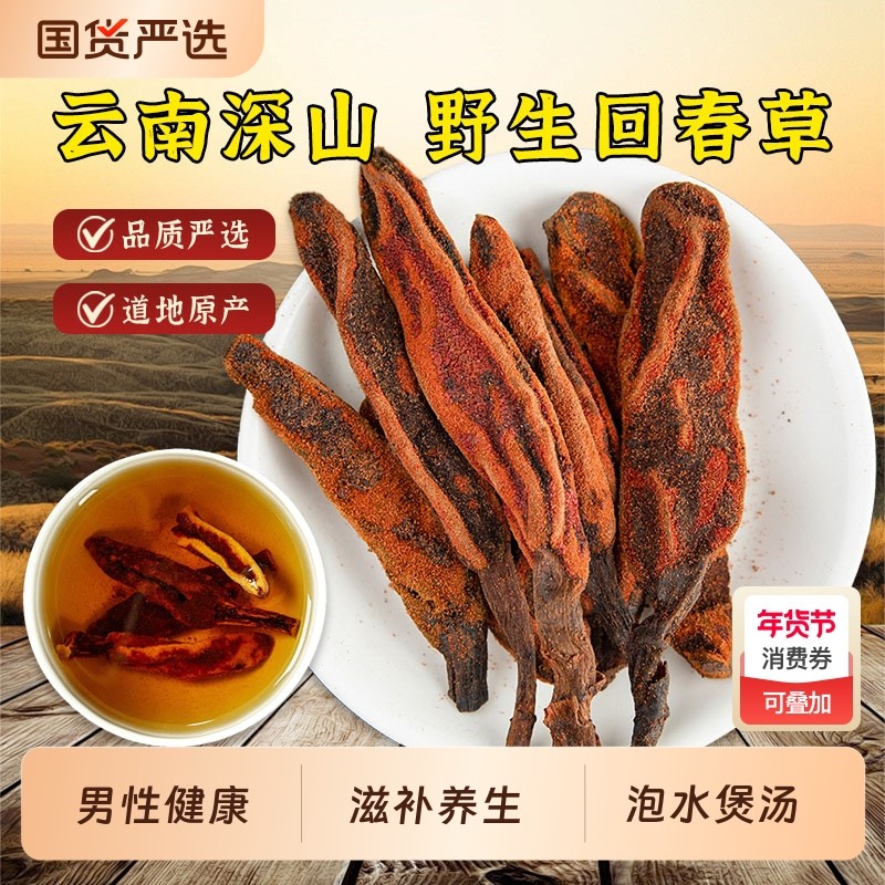 云南野生回春草中药材新货顶天柱不老草茴椿草男性滋补泡茶泡酒料
