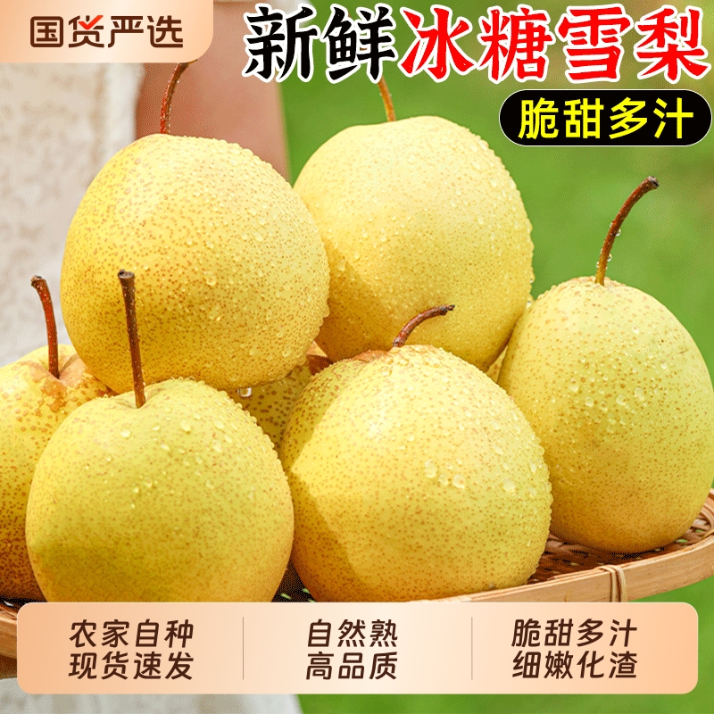 脆酥雪梨当季新鲜|超1000次加购
