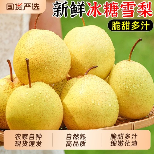 脆酥雪梨当季鲜果|超2000次加购