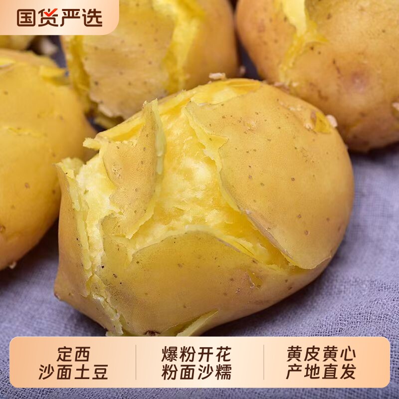 正宗甘肃定西沙面土豆新鲜黄皮黄心洋芋农家新鲜现挖小土豆马铃薯