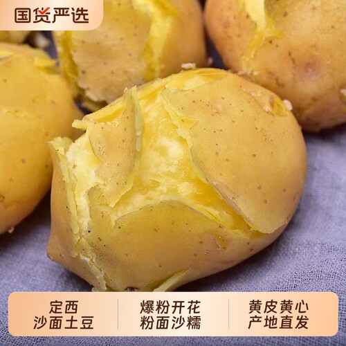 正宗甘肃定西沙面土豆新鲜黄皮黄心洋芋农家新鲜现挖小土豆马铃薯