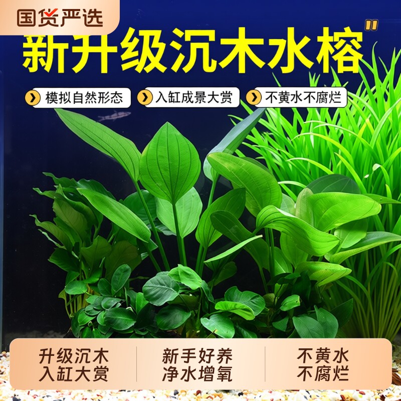 水榕沉木鱼缸水草植物真草水培增氧装饰仿真沉木懒人造景大叶水质