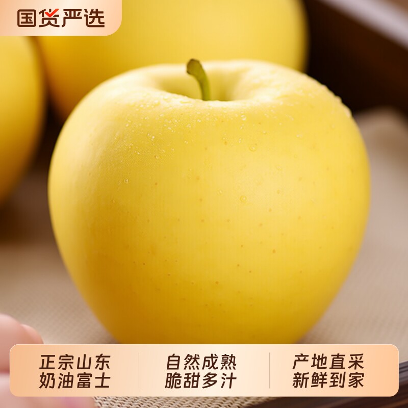 裕正宗山东烟台黄金奶油富士苹果新鲜水果当季现摘脆甜大果鲜生