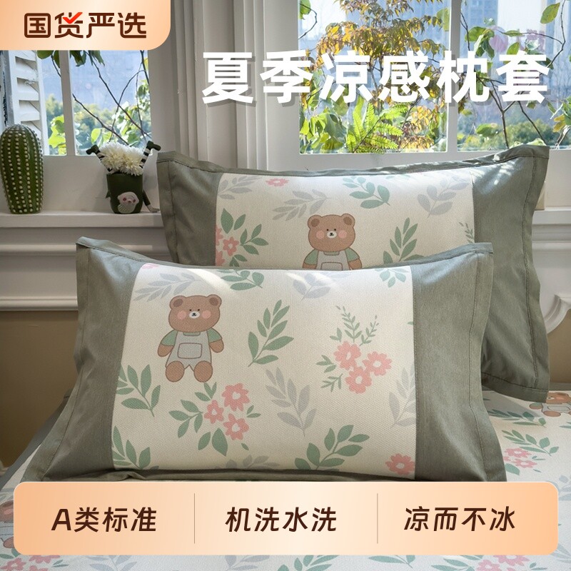 A类夏凉冰丝枕套冰藤枕头套夏季48x74cm冰凉枕芯套一对装睡眠