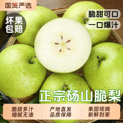 【正宗9斤砀山青梨】脆甜多汁