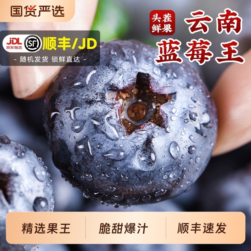 云南蓝莓鲜果特大礼盒当季高山L25花香新鲜水果孕妇怡颗顺丰大果,水产肉类/新鲜蔬果/熟食,蓝莓,淘宝优惠券,粉丝福利购,淘宝优惠卷